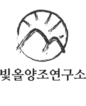 빛올
