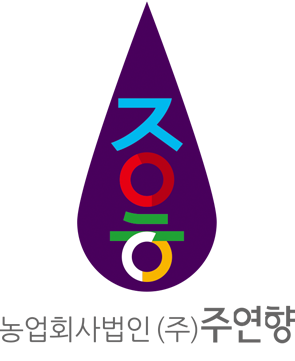 주연향