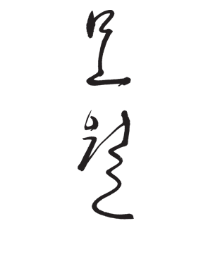 모월